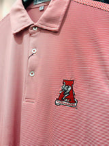 Christopher Mobley GAMEDAY - UNIVERSITY OF ALABAMA - TUSCALOOSA VAULT A - POLOS CM VAULT POLO JUBILEE STRIPE