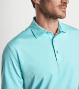 PETER MILLAR SHIRTS - POLO CABANA BLUE / M SOLID PERFORMANCE JERSEY POLO