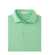 PETER MILLAR SHIRTS - POLO PEAR TART / M SOLID PERFORMANCE JERSEY POLO