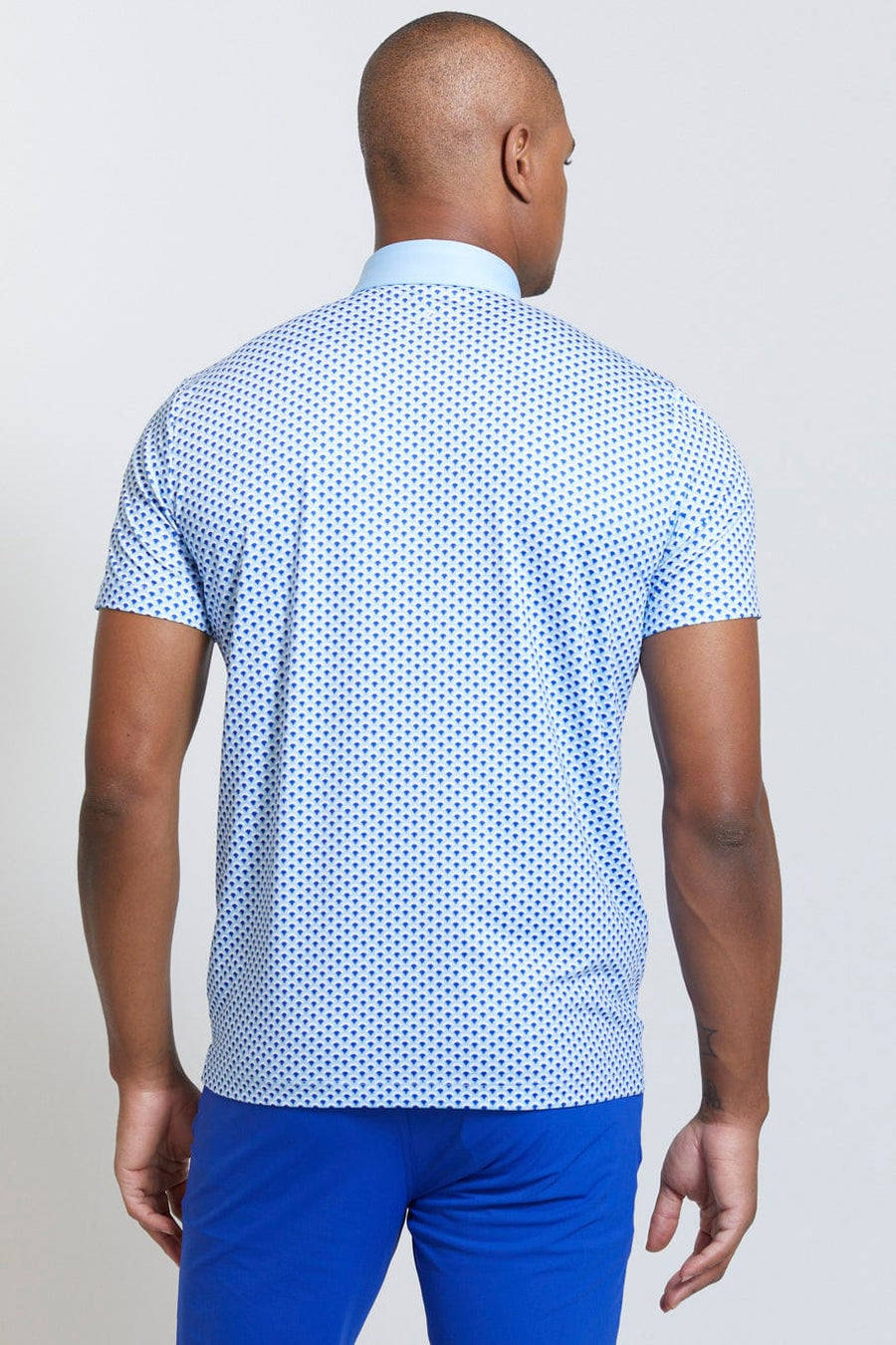 REDVANLY SHIRTS - POLO RANDOLPH POLO